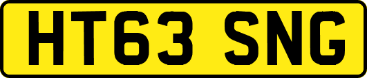HT63SNG