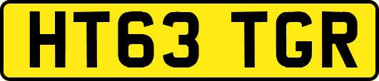 HT63TGR