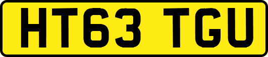 HT63TGU