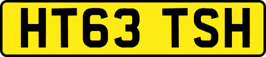 HT63TSH