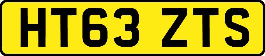 HT63ZTS