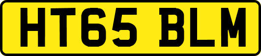 HT65BLM