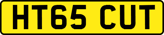 HT65CUT