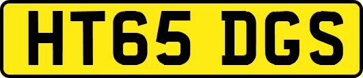 HT65DGS