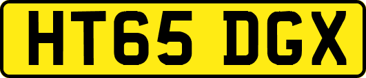 HT65DGX