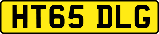 HT65DLG