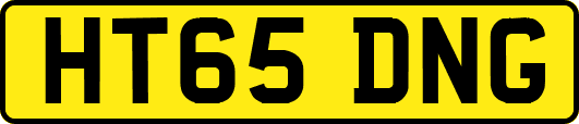 HT65DNG