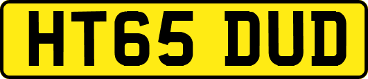 HT65DUD