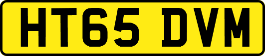 HT65DVM