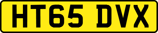 HT65DVX