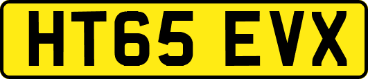 HT65EVX