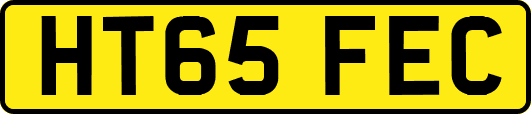 HT65FEC