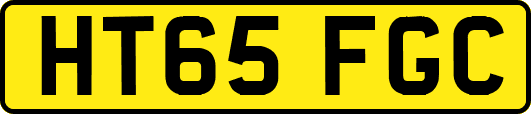 HT65FGC