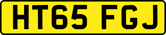 HT65FGJ