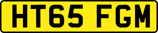 HT65FGM