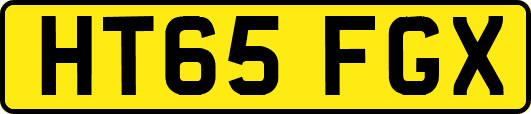 HT65FGX
