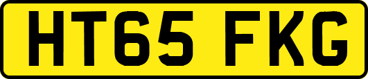 HT65FKG