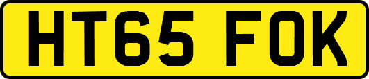 HT65FOK