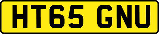 HT65GNU