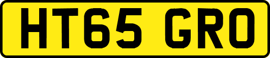 HT65GRO