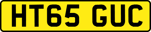 HT65GUC