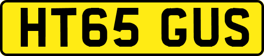 HT65GUS