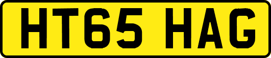 HT65HAG