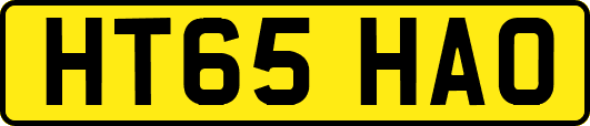 HT65HAO