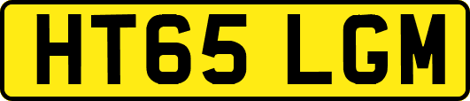 HT65LGM