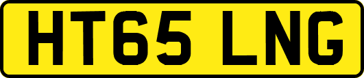HT65LNG