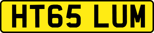 HT65LUM