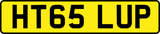 HT65LUP