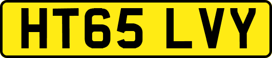 HT65LVY
