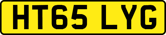 HT65LYG
