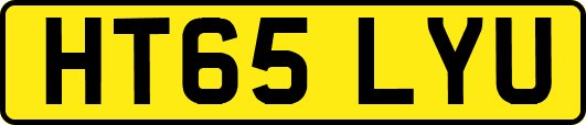 HT65LYU