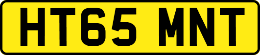 HT65MNT