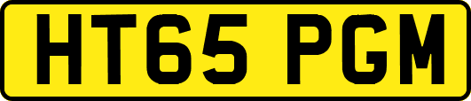HT65PGM