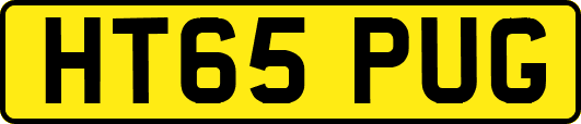 HT65PUG