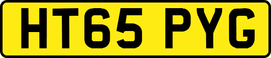 HT65PYG