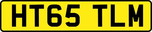 HT65TLM