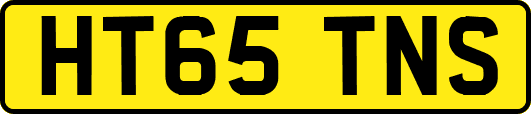 HT65TNS