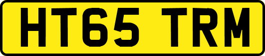 HT65TRM