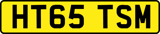 HT65TSM