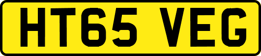 HT65VEG