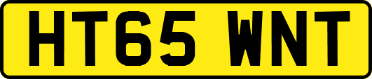 HT65WNT