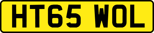 HT65WOL