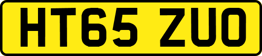 HT65ZUO