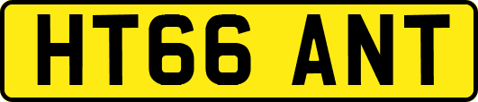 HT66ANT