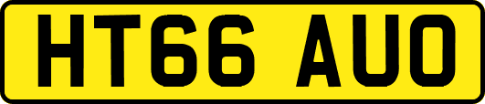HT66AUO