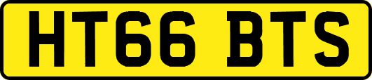 HT66BTS